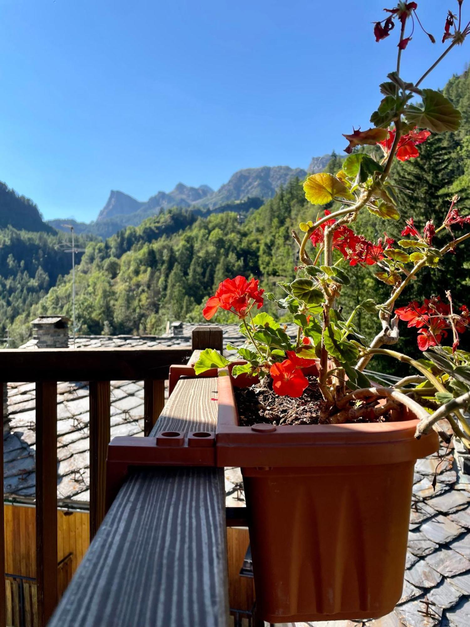 Abri Vigneroisa Appartamento Miserin Champorcher Buitenkant foto